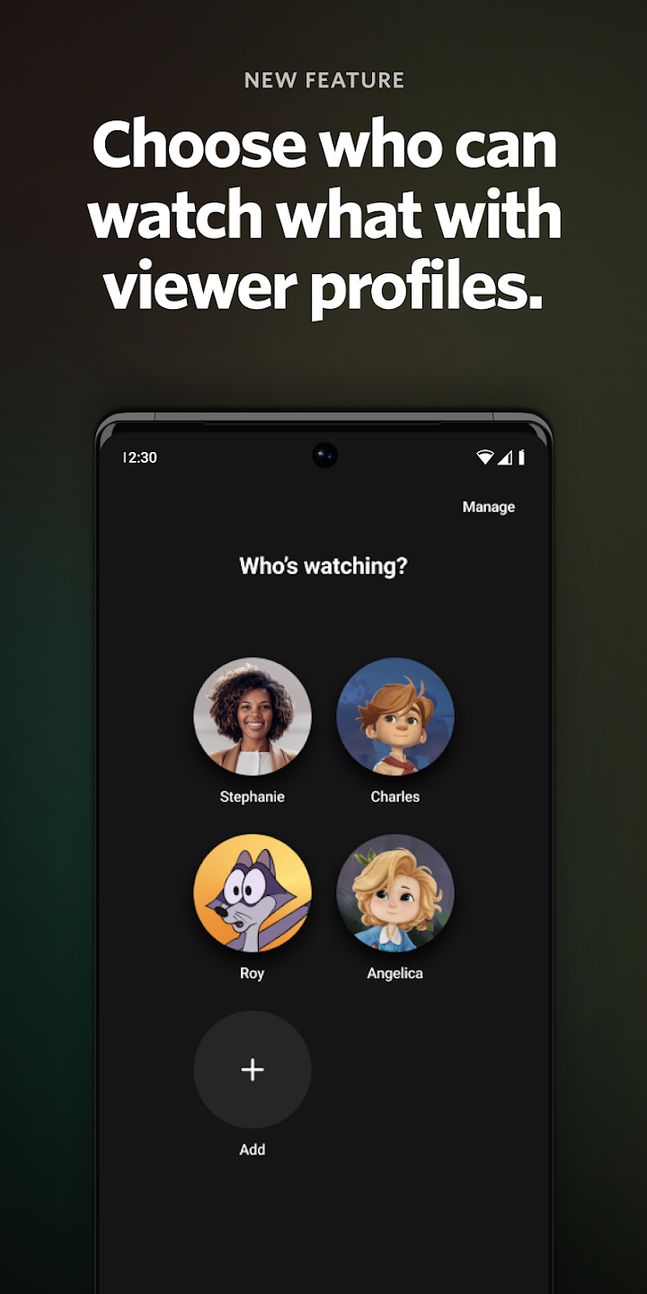 screen
