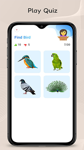 screen