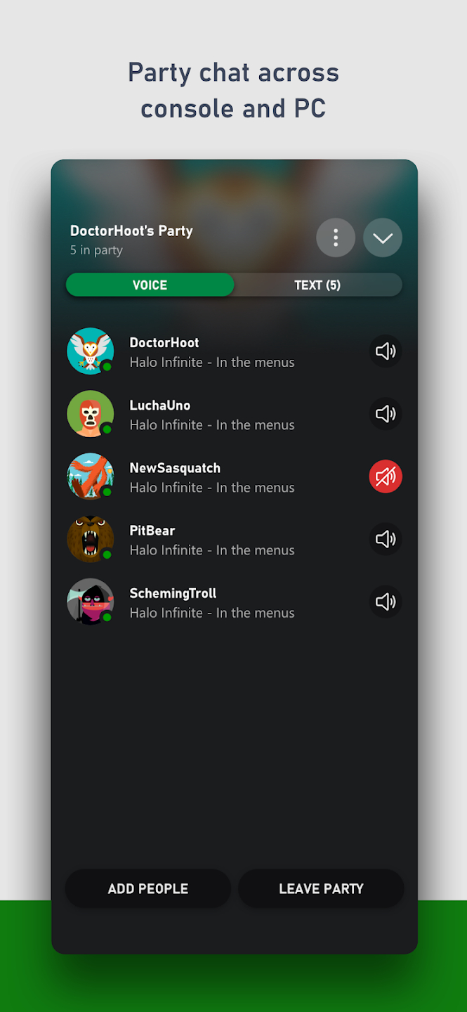 screen